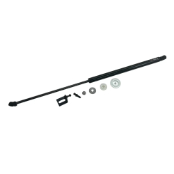 Gastrykfjeder Cupra Tavascan