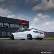 Sænkningsfjedre Pro kit for sportsdæmpere Eibach Tesla Model 3 2WD