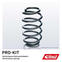 EIBACH Bagfjeder 118501303