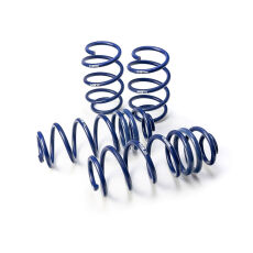 H&R Sænkningsfjedre for Sænkningssæt 29384-1 Kia Rio Dc
