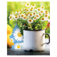 Wunderbaum Daisy Flower 1stk.