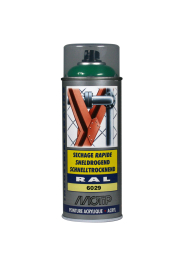 Spraymaling RAL 6029 Høj Glans MintGrøn Motip 07145 400ML