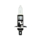 Philips EcoVision H1 2stk
